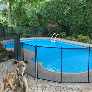 Protect your dog with a removable fence, installing a pool fence for dog, Pool fence for dogs and kids, Removable pet fence for your pool, Pet fencing, Pool and pet safety, Pet pool safety fence, Pet fence, Pool safety for pets, Pet safety fence, Pet pool safety, Pool fence for dogs, Removable pet fence, Pet fence DIY, Removable pet pool safety fence