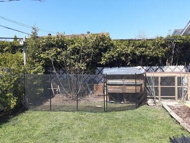 grillage et clôture poulailler, clôture piscine, clôture amovible, clôture projet personnel, clôture feme, clôture campgane, poulailler, grillage poulailler, barrière, barrière poulailler